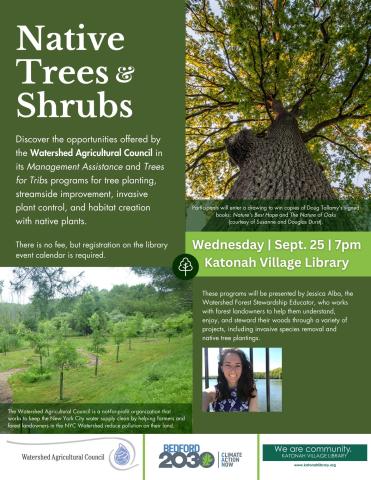 Native Trees and Shrubs