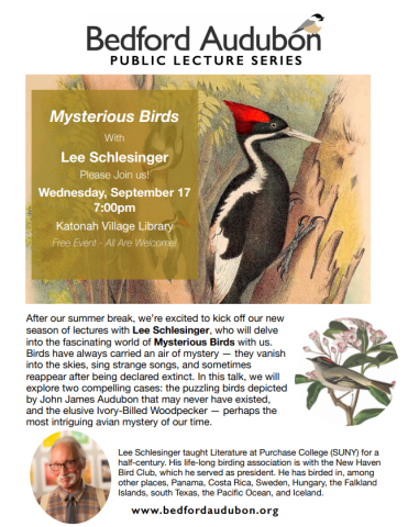 After our summer break, we’re excited to kick off our new season of lectures with Lee Schlesinger, who will delve into the fascinating world of Mysterious Birds with us.