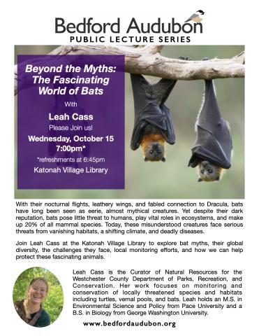 Beyond the Myths:  The Fascinating World of Bats with Leah Cass