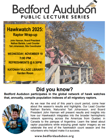 HawkWatch 2024: Raptor Wrap-up from our Team.  Did you know?  Raptors are sensitive bio-indicators at the top of food chains, and changes in raptor numbers reflect changes in environmental health.