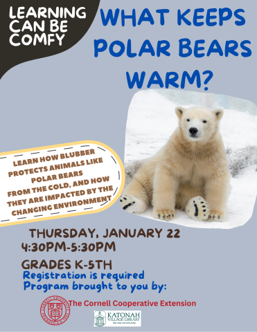 Polar Bears Program