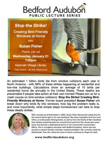 Stop the Strike! Creating Bird Friendly Windows at Home